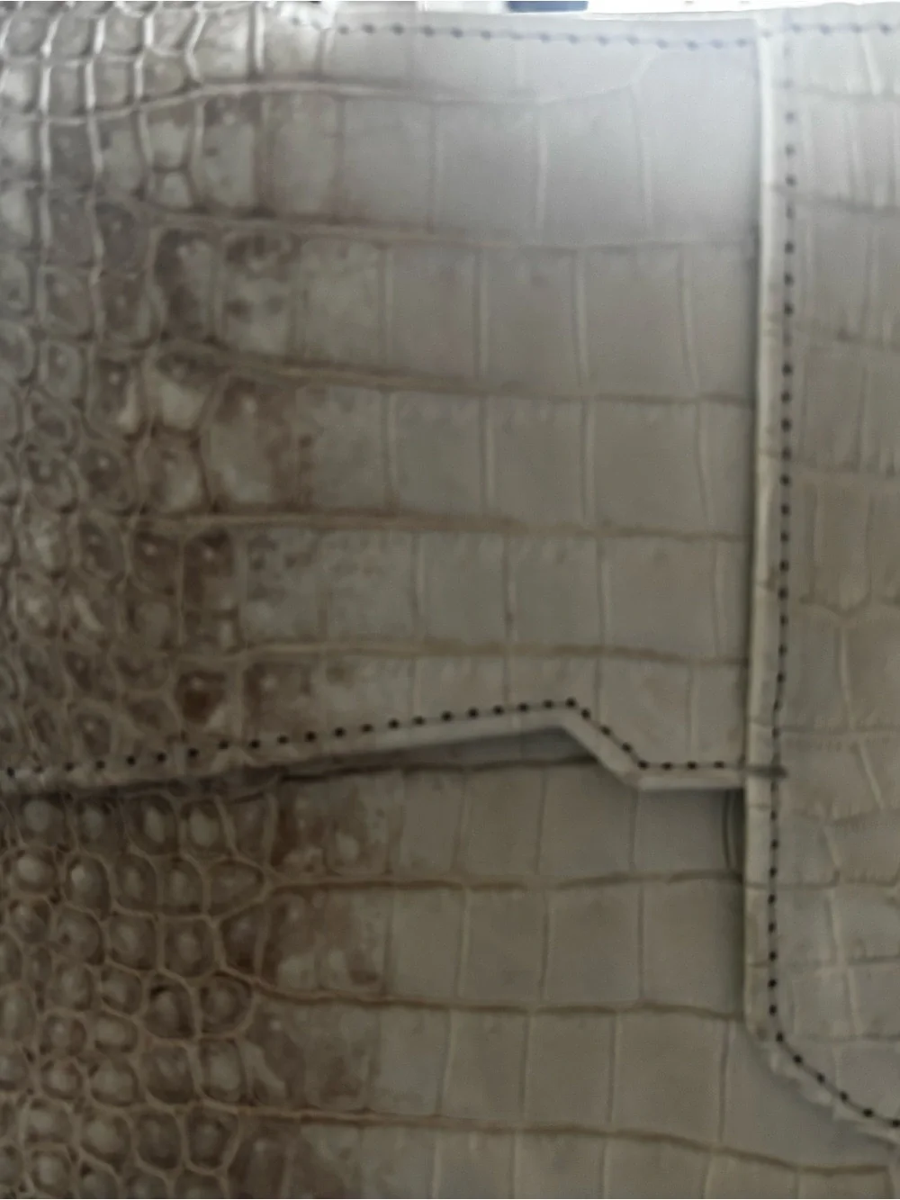Genuine Himalayan crocodile handbag